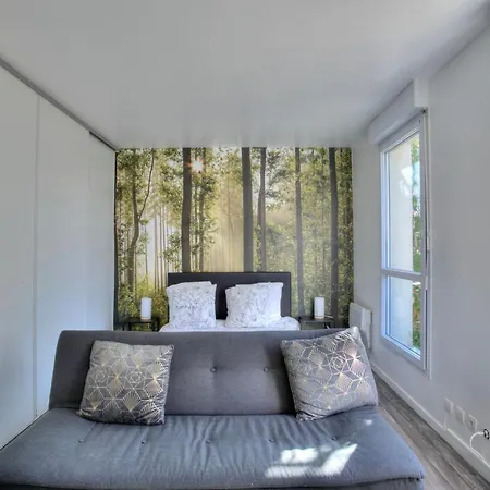 Grand Studio Avec Jardin Et Parking - Paris Orly Apartment Viry-Châtillon